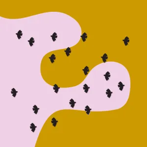 About a Bird - Mini Cuts - 10 pairs