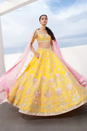 Anatola Lehenga
