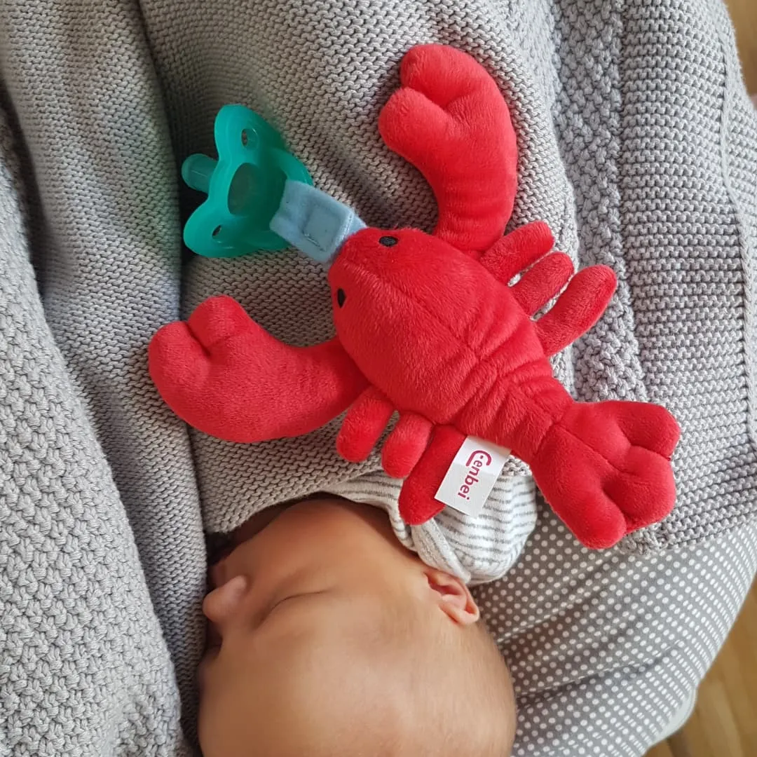 Baby Scuba Doll & Pacifier Set:  Clown Fish (Nemo) & Lobster