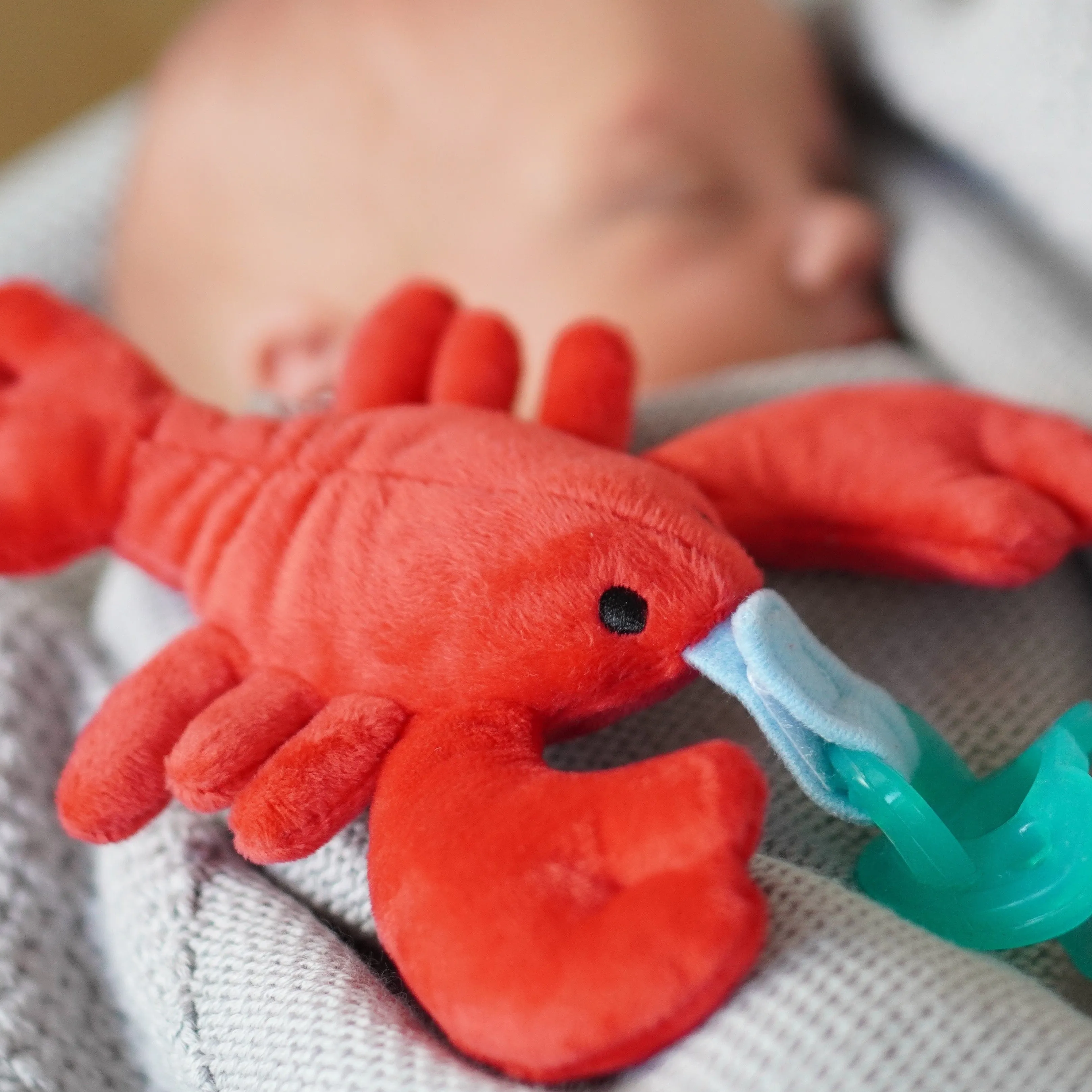 Baby Scuba Doll & Pacifier Set:  Clown Fish (Nemo) & Lobster
