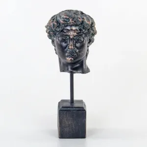 Bronzed Noir David Bust Statue