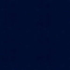 Canopy Solid-Navy