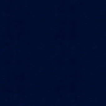 Canopy Solid-Navy