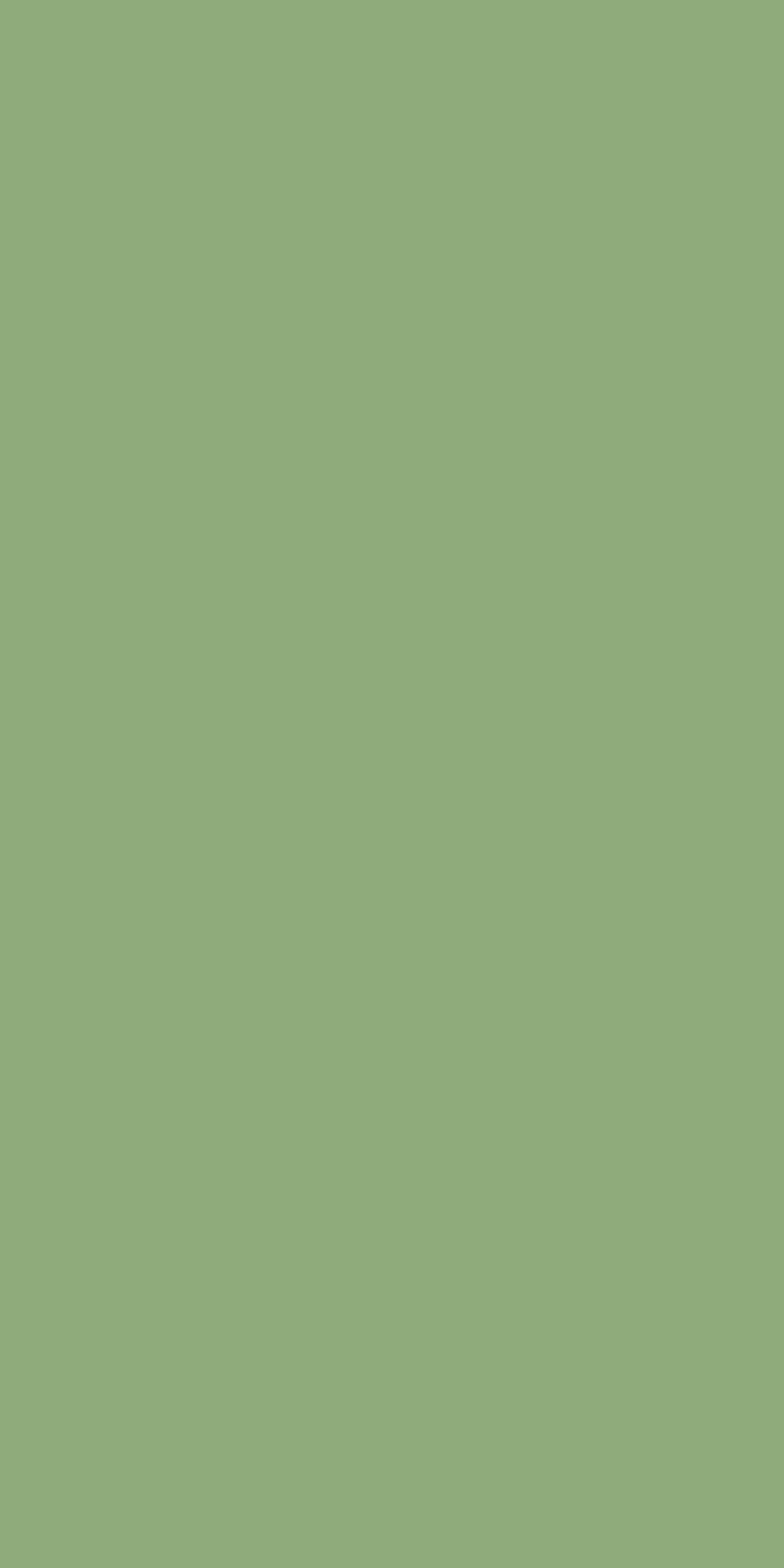 Colour Panels Acrylic Shower Wall Panels Home Decor Wall Panels 2440mmm x 1220mm