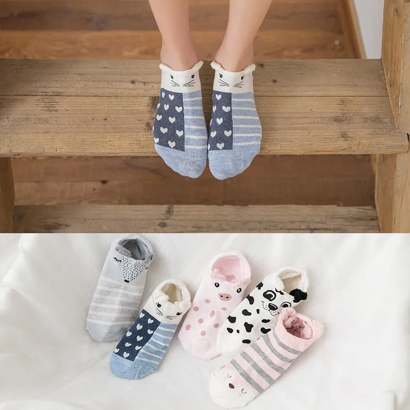 Cotton cartoon animals Socks - 5 Pairs