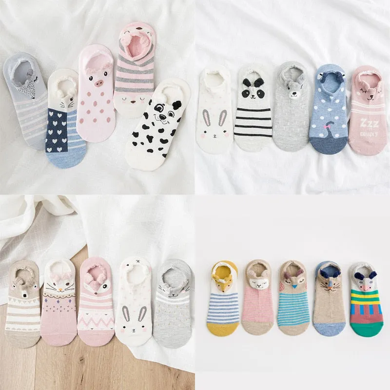 Cotton cartoon animals Socks - 5 Pairs