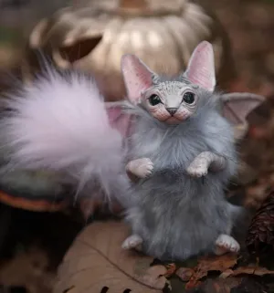 Dark-grey baby batcat