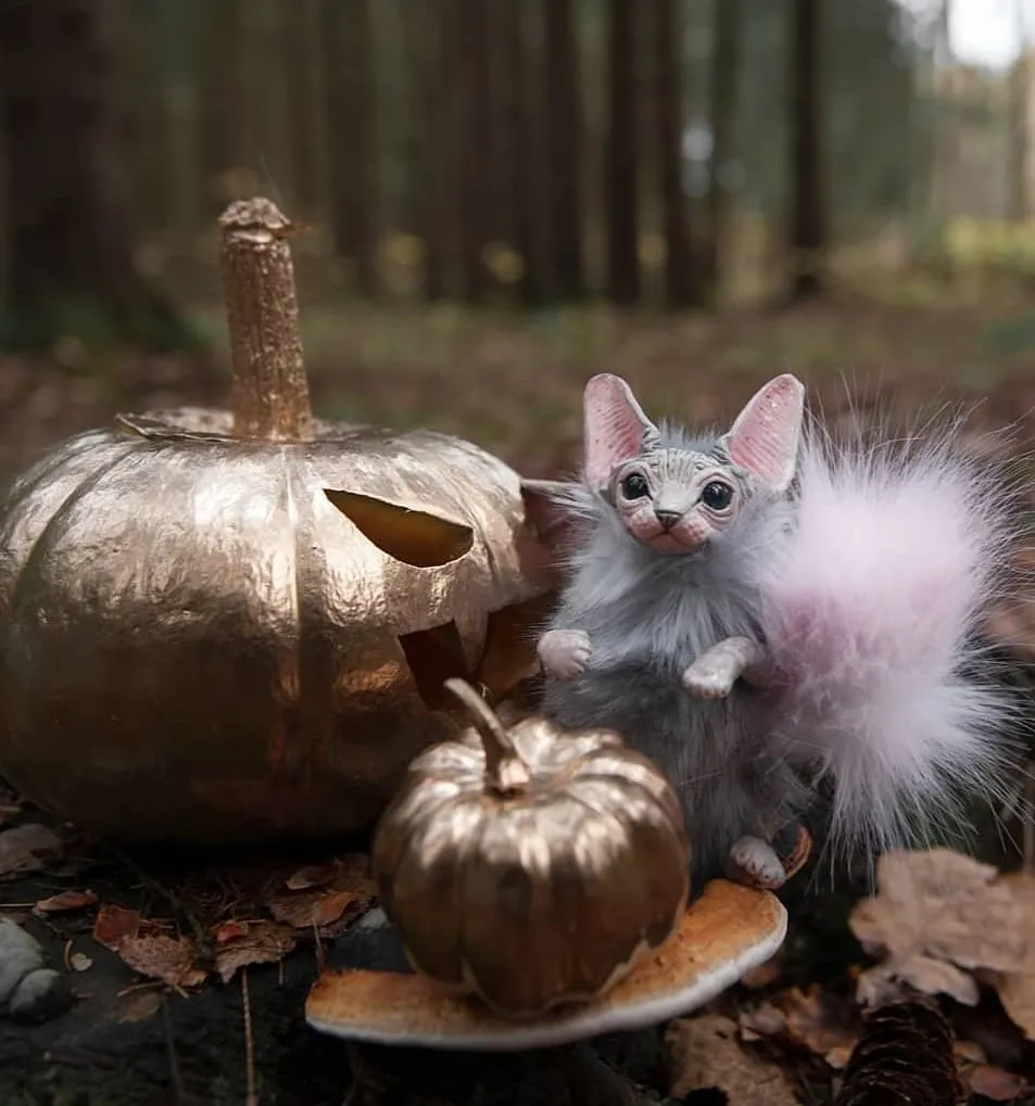 Dark-grey baby batcat