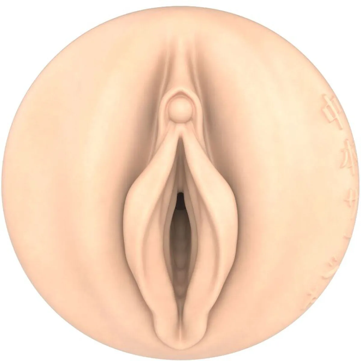 FLESHLIGHT FANTASY - SASHA NAKAMOTO VAGINA