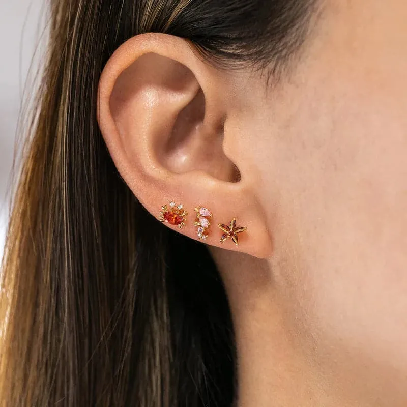 Girls Crew Under the Sea Earring Stud Set
