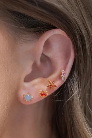Girls Crew Under the Sea Earring Stud Set
