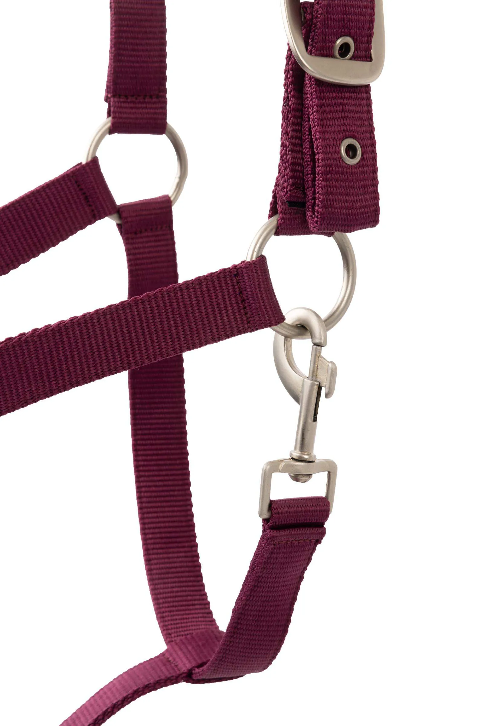 Horze Eternal Gaze Halter Set Purple Potion