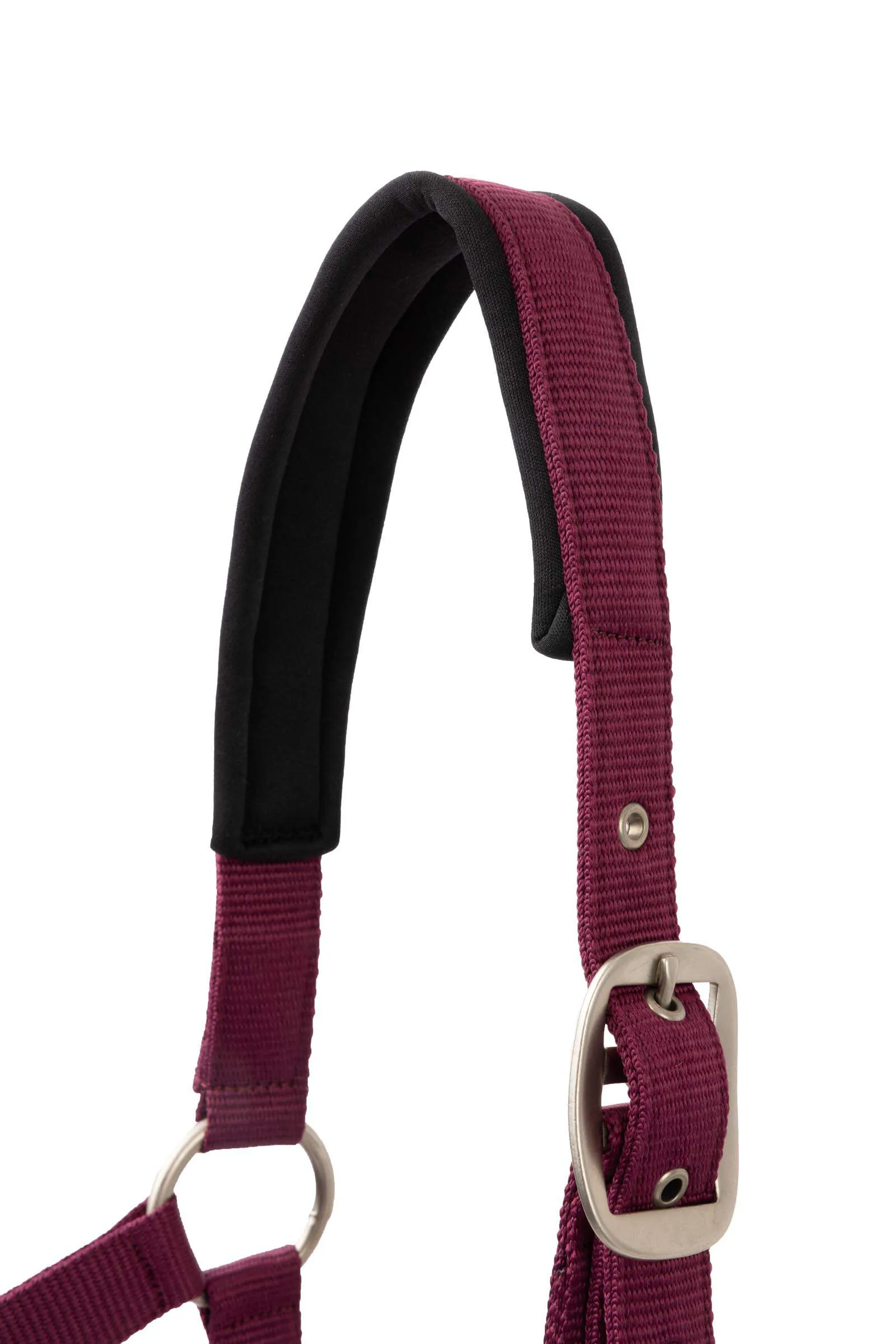 Horze Eternal Gaze Halter Set Purple Potion