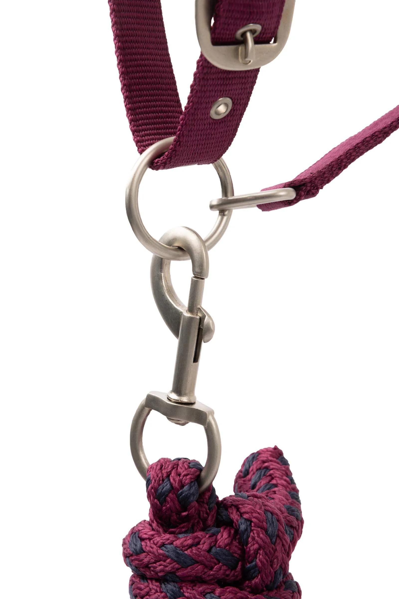 Horze Eternal Gaze Halter Set Purple Potion