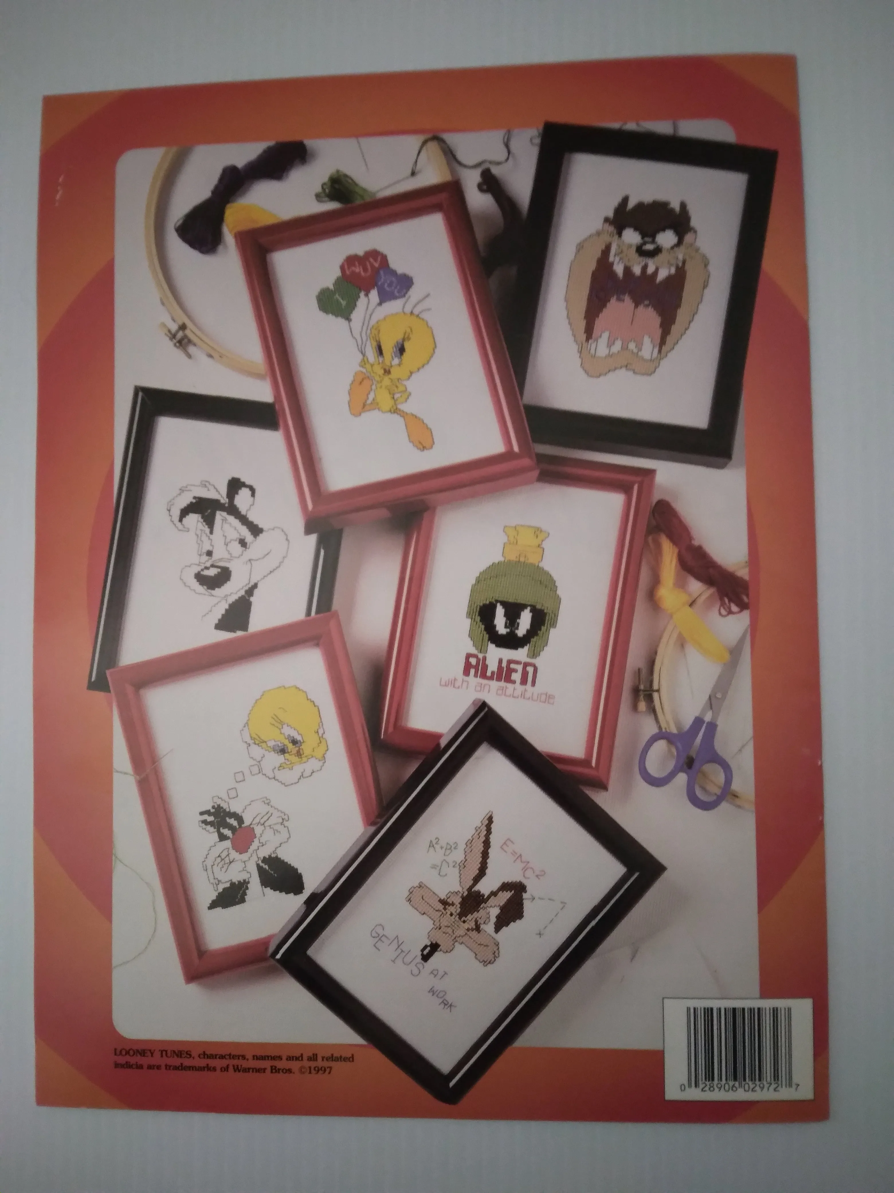 Looney Tunes Learn To Stitch Craft Book