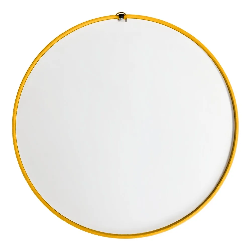 Minnesota Golden Gophers: Mascot - Modern Disc Mirrored Wall Sign