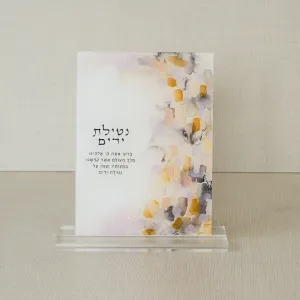 Modern Retro Netilat Yadayim