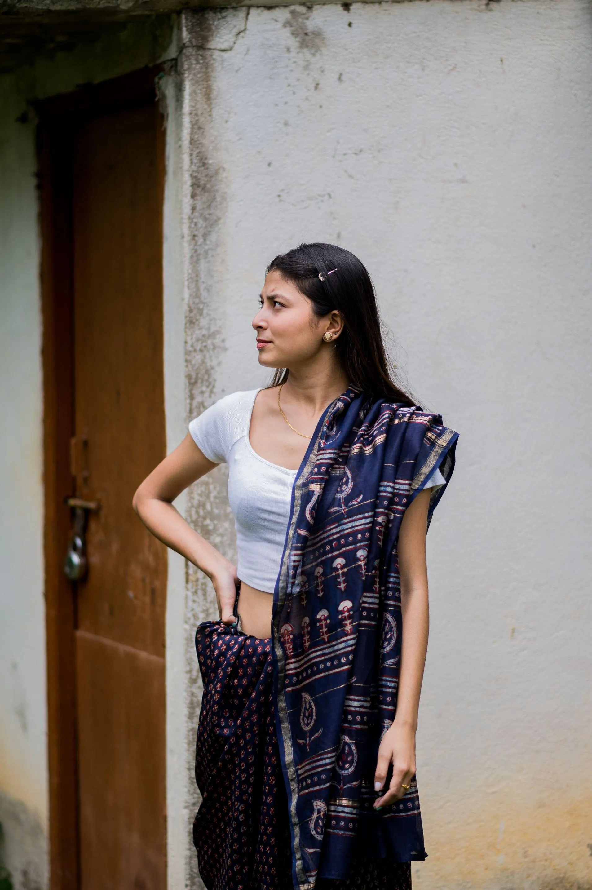 Natural dyed Dabu sarees - Malhar - Pharad Makkhi