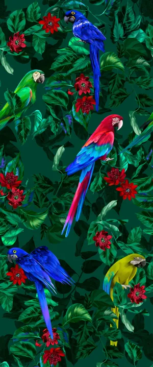 Parrot Paradise Acrylic Shower Wall Panel Home Decor 2440mm x 1220mm