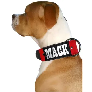Personalized Suede Leather Dog Collar