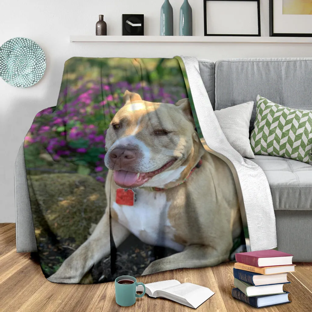 Pitbull Blanket, Gift for Pitbull Lover,