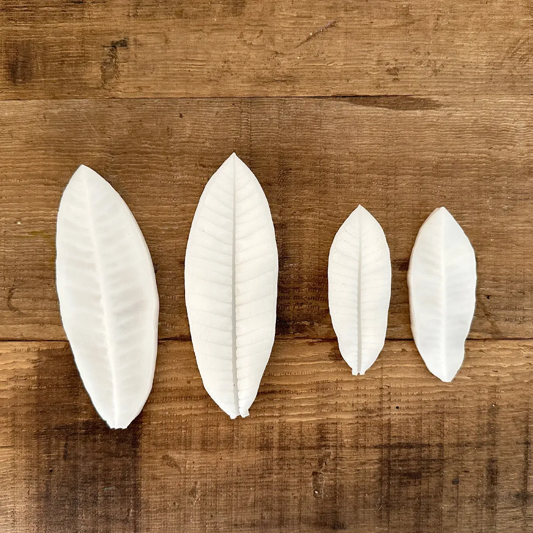 Plumeria Leaves - Silicone Mold
