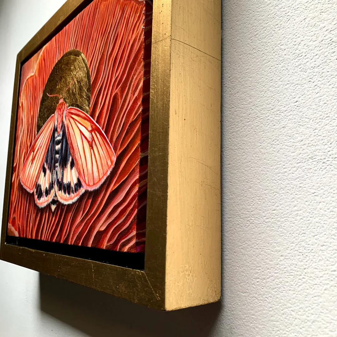 "Cohesion" Clouded Buff Moth Painting 10x8
