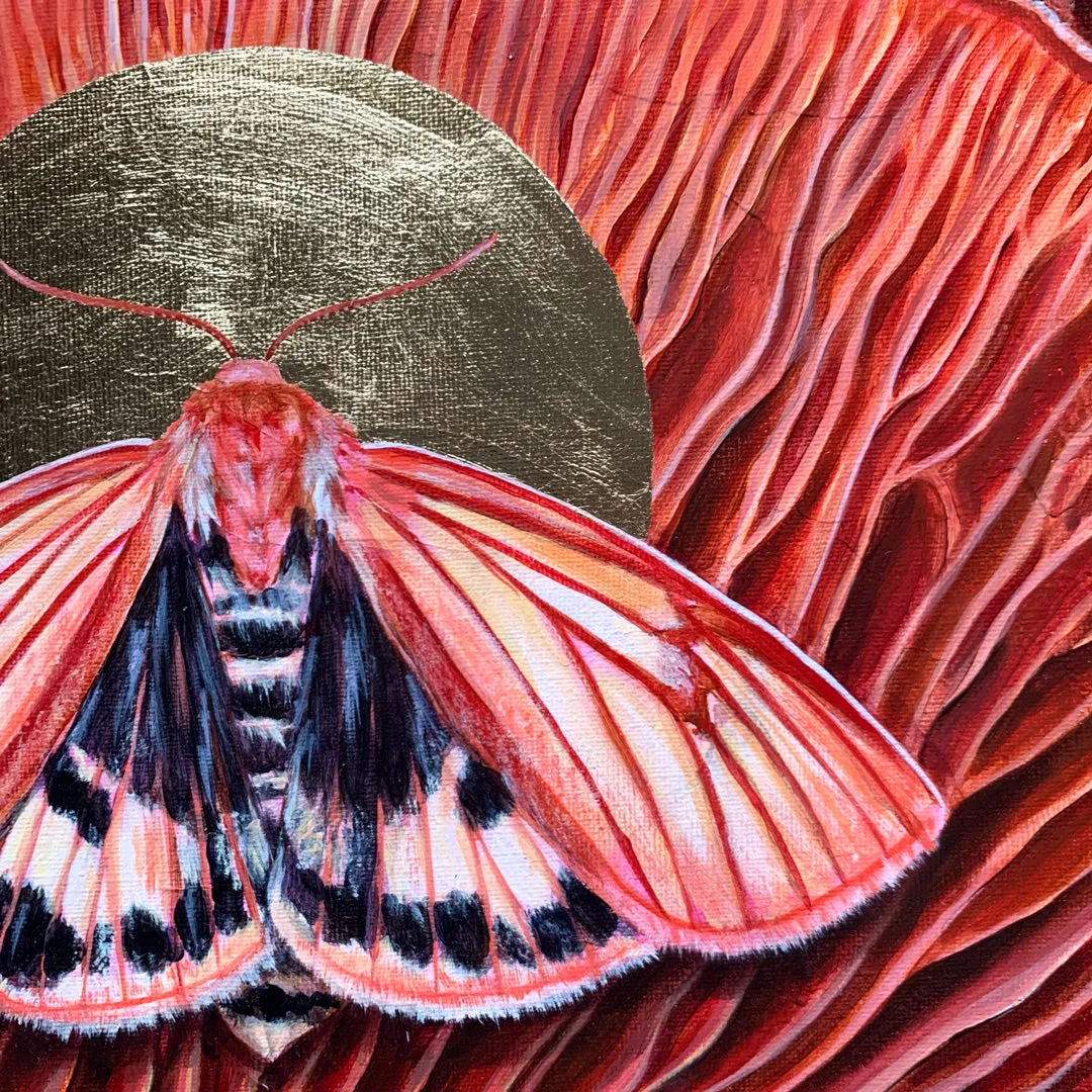 "Cohesion" Clouded Buff Moth Painting 10x8