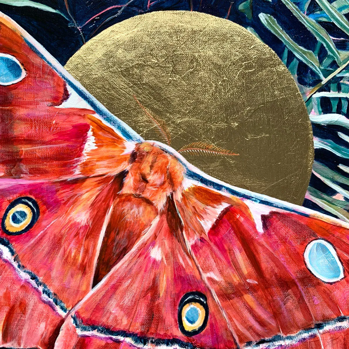 "Temporary" Godman's Silkmoth Painting 16x20
