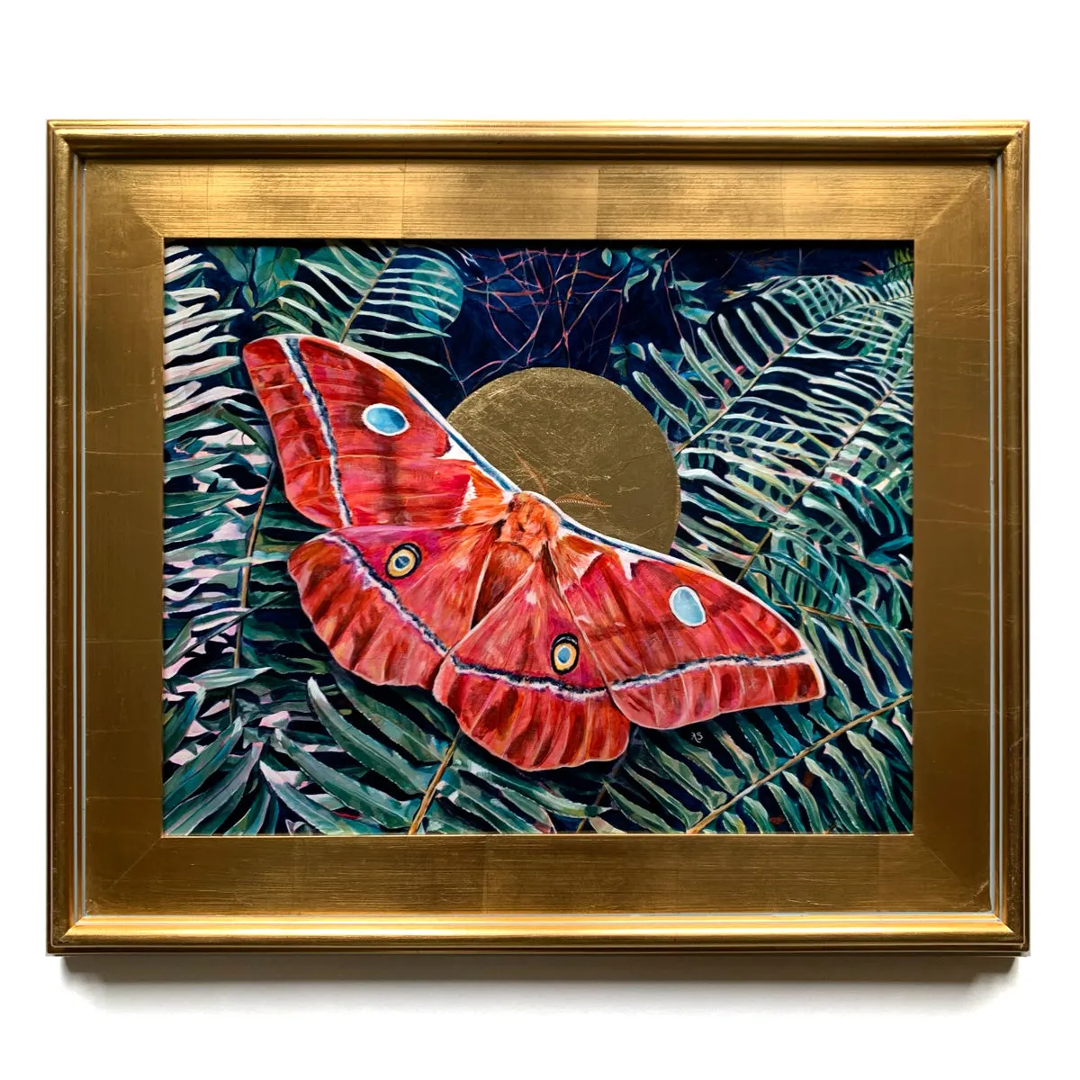 "Temporary" Godman's Silkmoth Painting 16x20