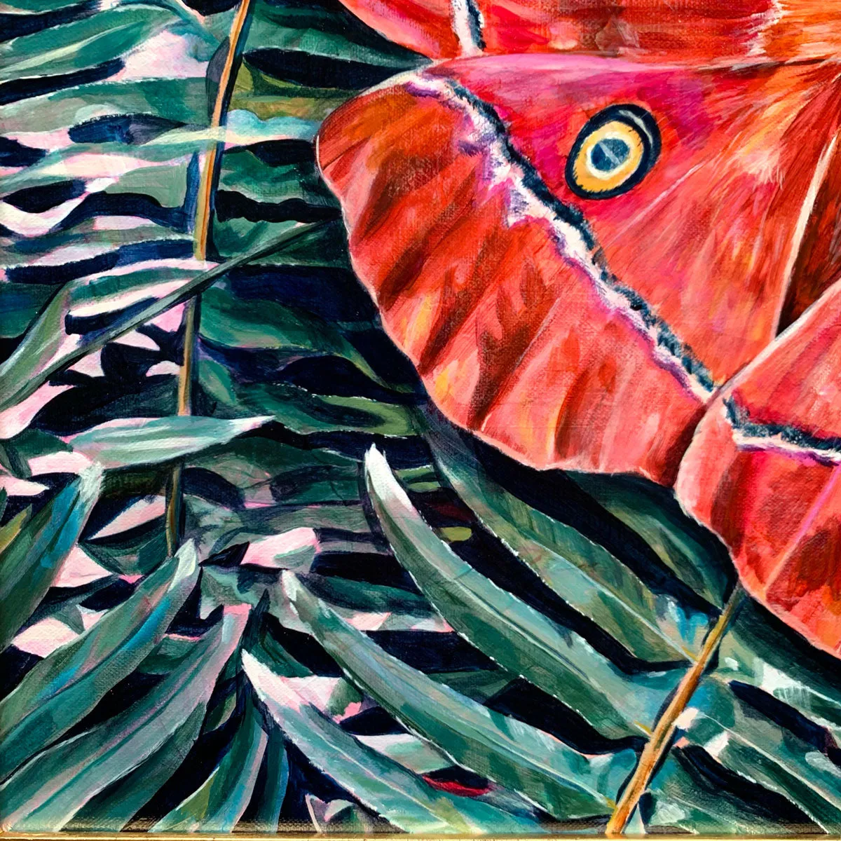 "Temporary" Godman's Silkmoth Painting 16x20
