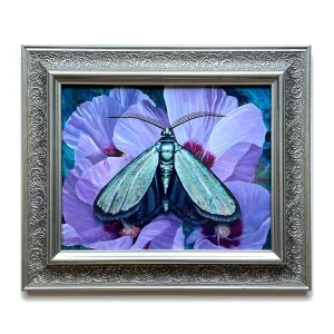"Tranquility" Satin Forester Moth Painting 8x10