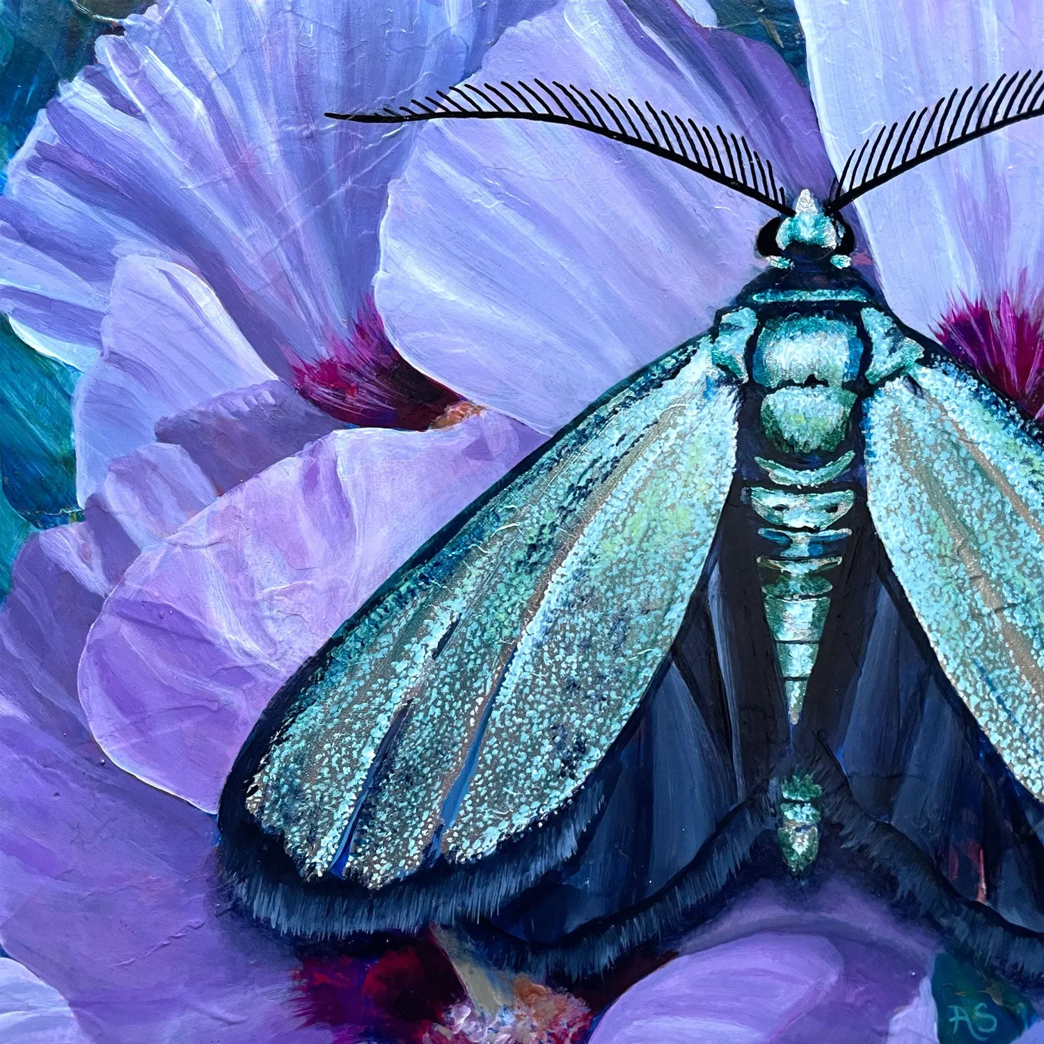 "Tranquility" Satin Forester Moth Painting 8x10
