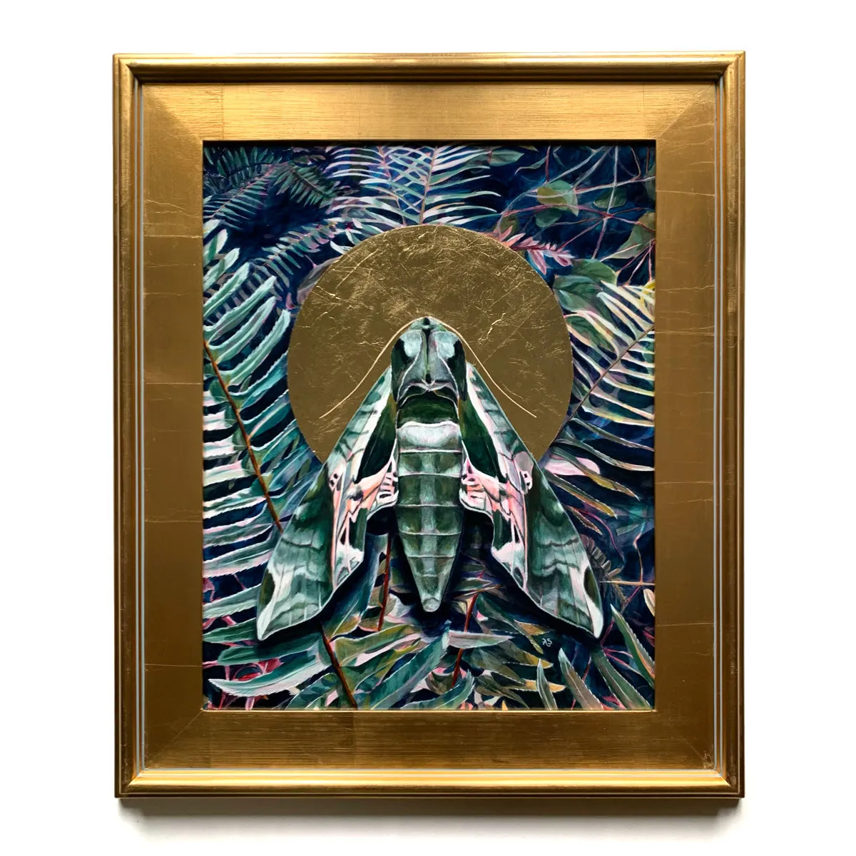 "Transient" Pandora Sphinx Moth Painting 16x20