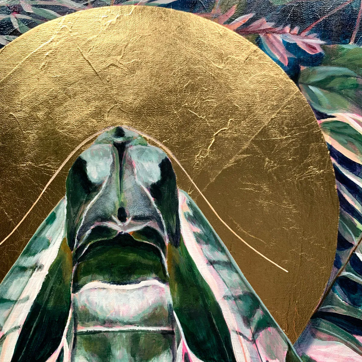 "Transient" Pandora Sphinx Moth Painting 16x20
