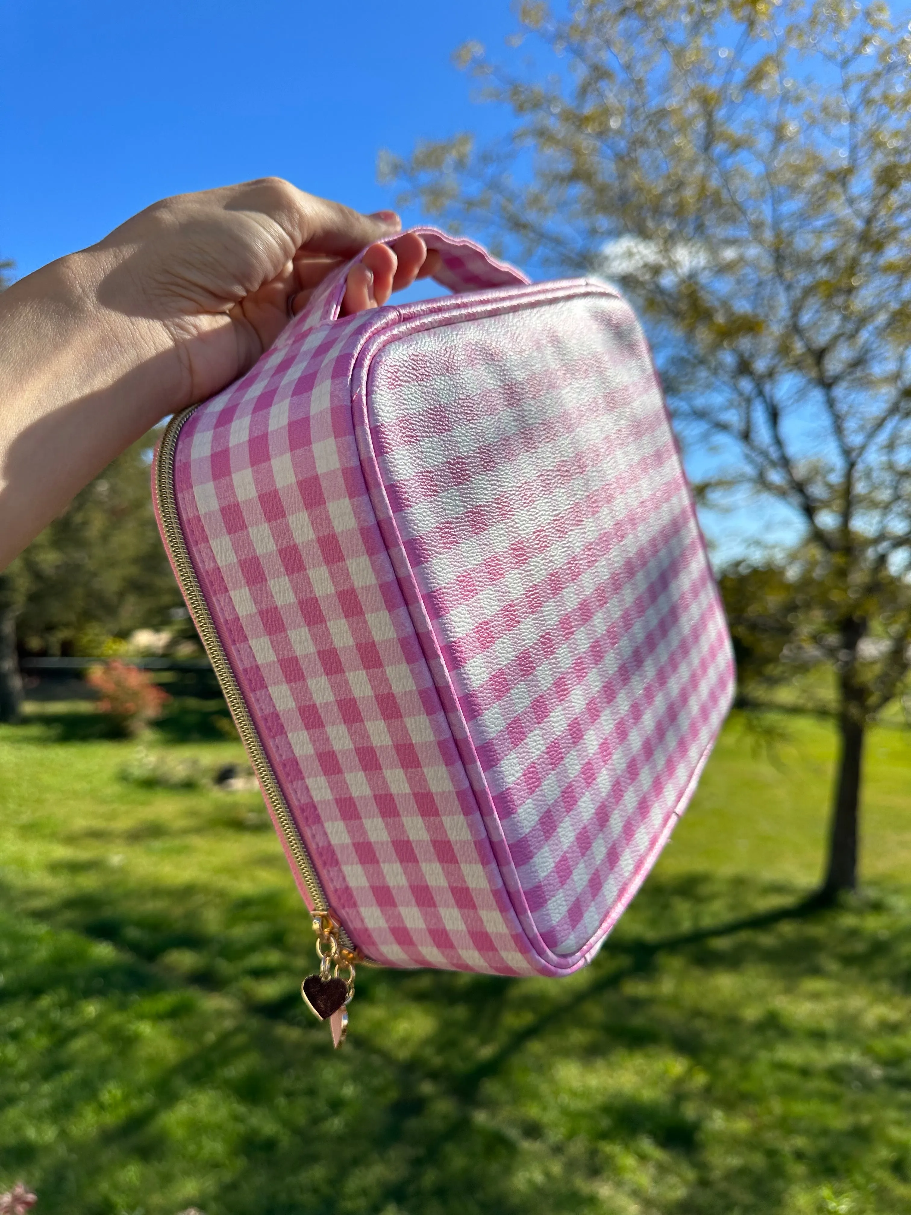 Super fun cosmetic cases