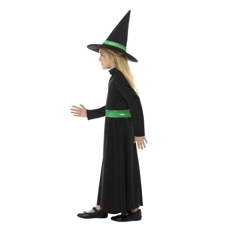 Wicked Witch Costume