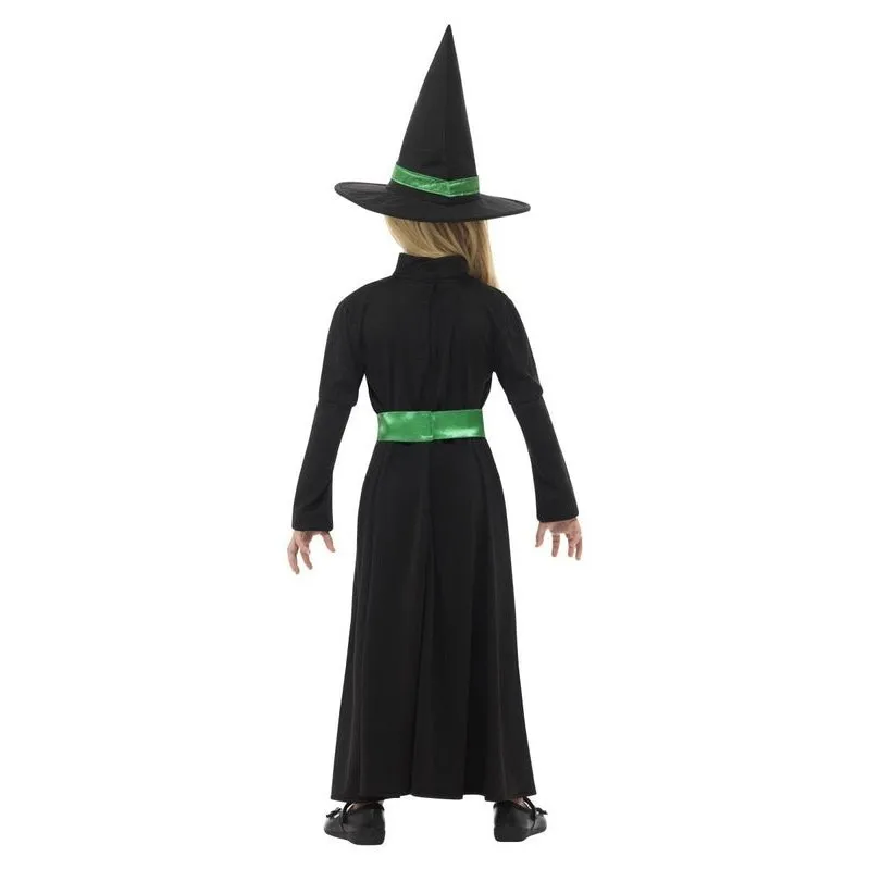 Wicked Witch Costume
