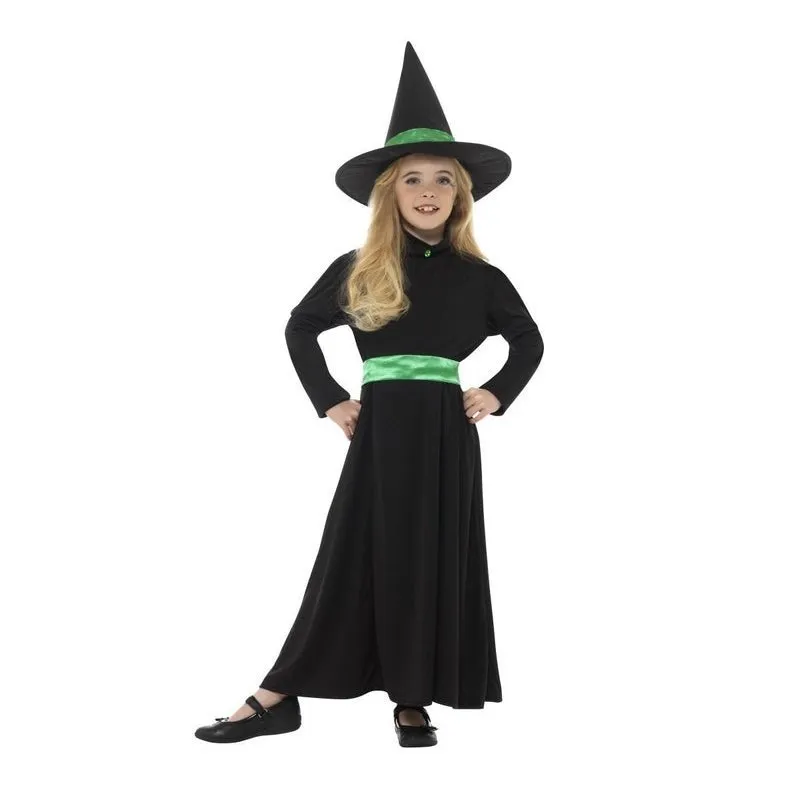 Wicked Witch Costume